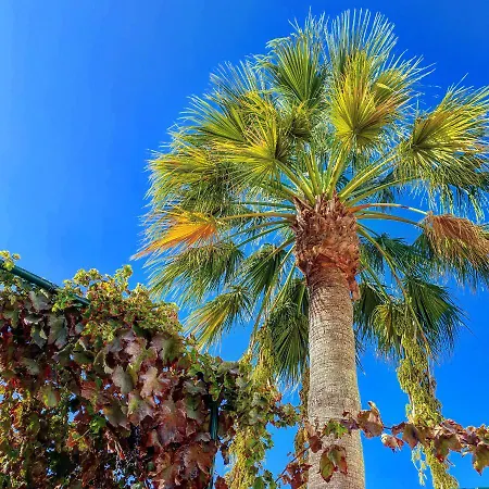 Debimar Διαμέρισμα